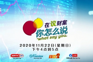 《你怎么说》 What Say You：在疫/意/议 2021财案